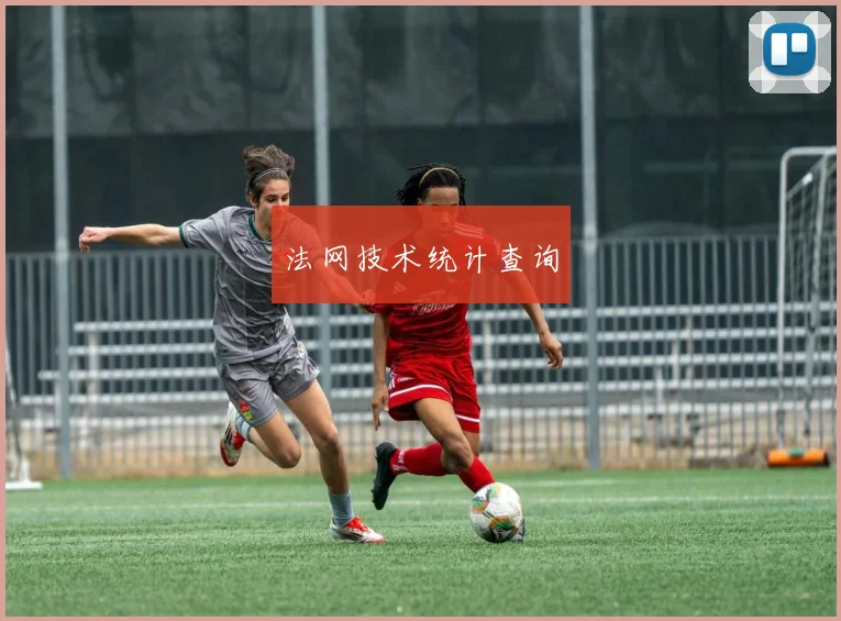 法网技术统计查询