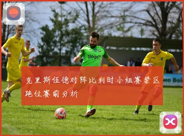 克里斯伍德对阵比利时小组赛禁区跑位赛前分析