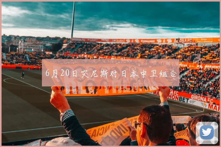 6月20日突尼斯对日本中卫组合