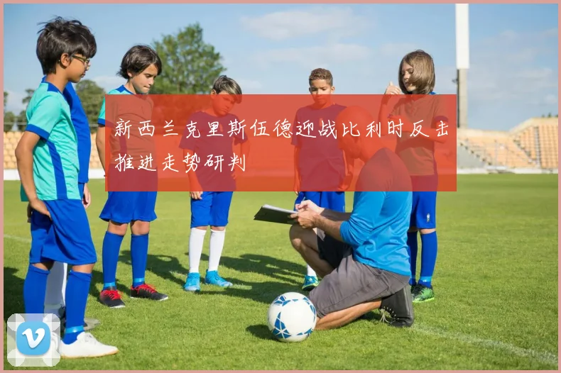 新西兰克里斯伍德迎战比利时反击推进走势研判